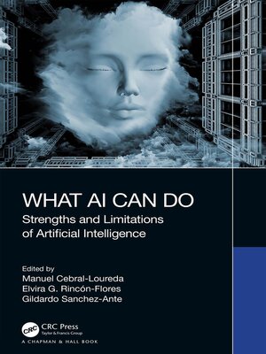 cover image of What AI Can Do